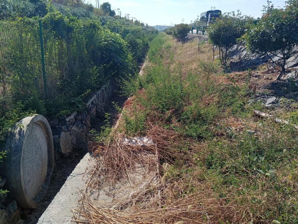 苏商栾忠岳投资江西永修县的悲惨遭遇令人心酸