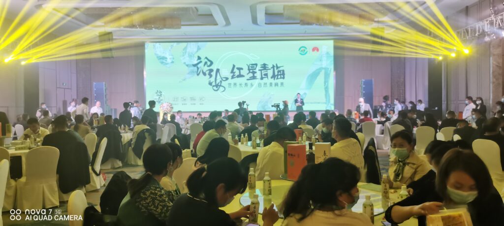 “梅”好诏安 常来长寿