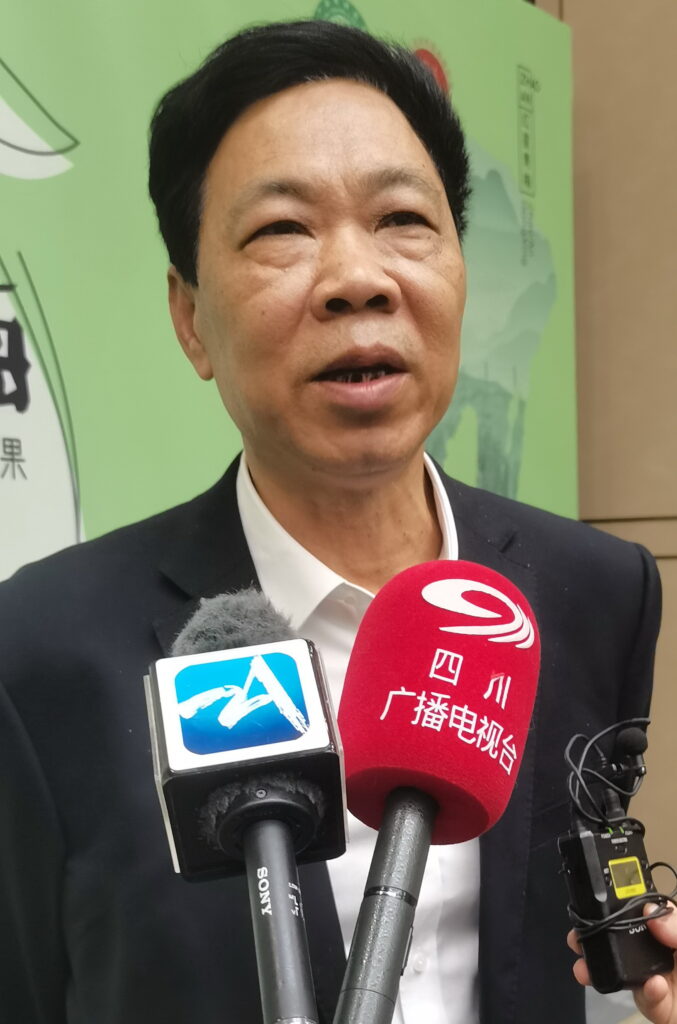 “梅”好诏安 常来长寿