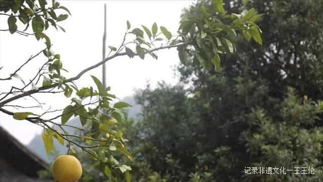 这个秋天，以“纸”为媒，青曼研究院带你探寻非遗文化记忆