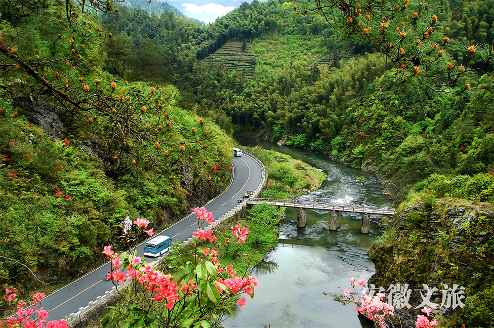 安徽黄山：世界遗产旅游风景道，风雅至极生奇韵