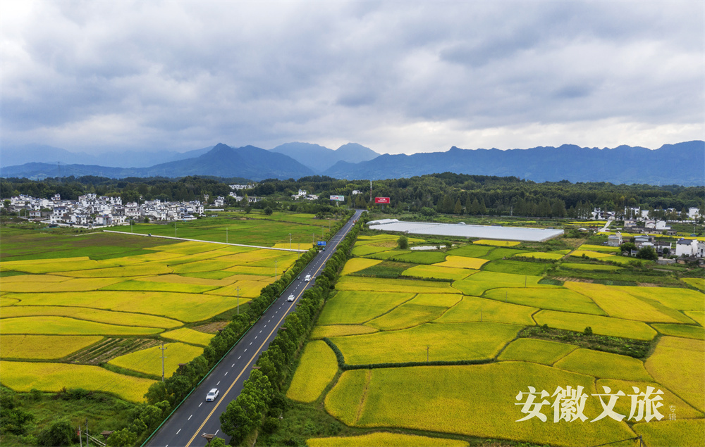 安徽黄山：世界遗产旅游风景道，风雅至极生奇韵