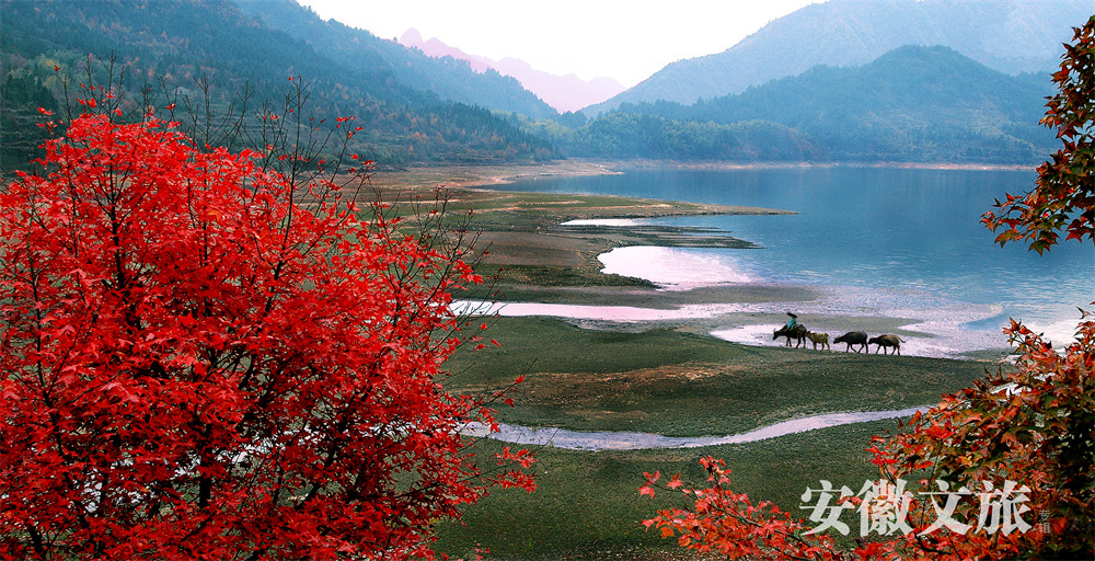 安徽黄山：世界遗产旅游风景道，风雅至极生奇韵