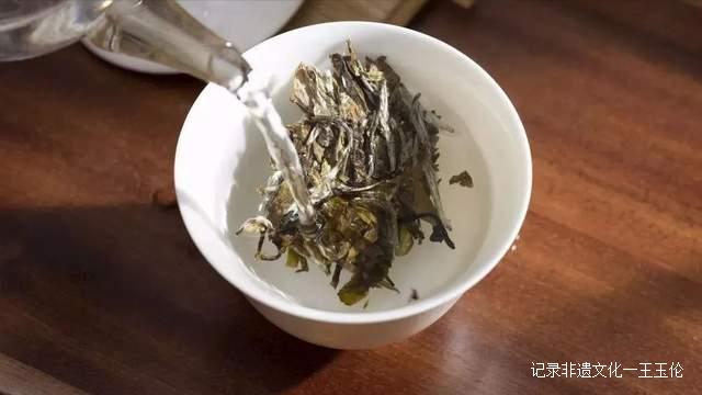 喝什么茶能提高人体免疫力？