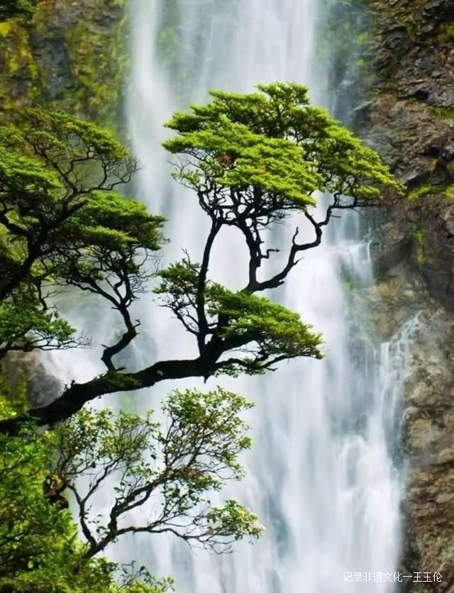 茶叶被誉为“世界三大饮料之一”，是人类的“精神保健剂”