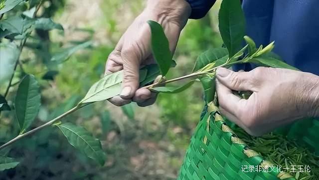 疫情当下，传统茶在两大方面都有建树