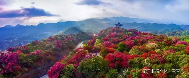 贵州这些地方将花开成海，美成童话世界，错过就要再等一年