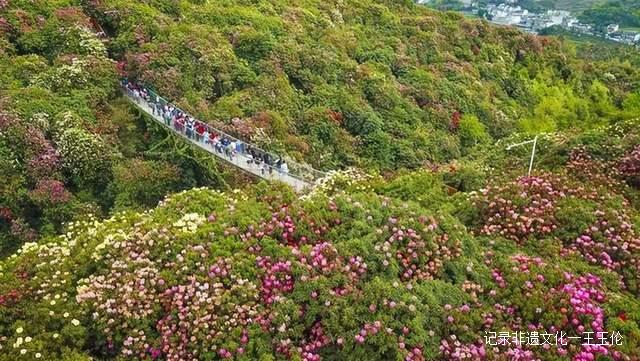 贵州这些地方将花开成海，美成童话世界，错过就要再等一年