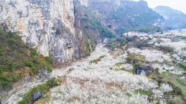 贵州这些地方将花开成海，美成童话世界，错过就要再等一年