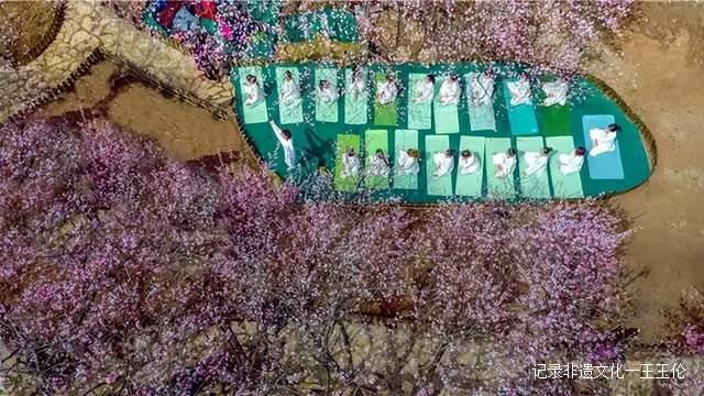 贵州这些地方将花开成海，美成童话世界，错过就要再等一年