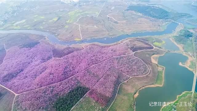 贵州这些地方将花开成海，美成童话世界，错过就要再等一年