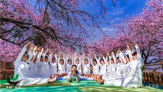 贵州这些地方将花开成海，美成童话世界，错过就要再等一年