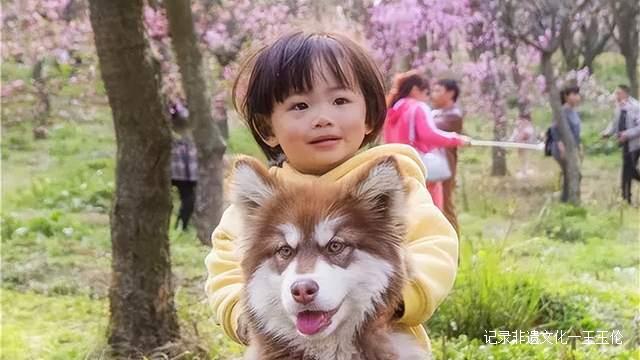 贵州这些地方将花开成海，美成童话世界，错过就要再等一年