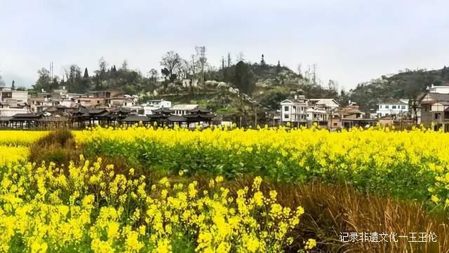 贵州这些地方将花开成海，美成童话世界，错过就要再等一年