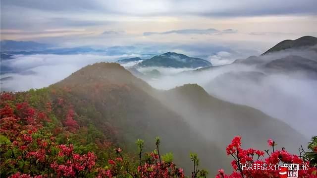 贵州这些地方将花开成海，美成童话世界，错过就要再等一年