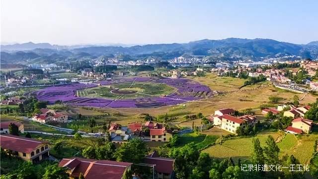 贵州这些地方将花开成海，美成童话世界，错过就要再等一年