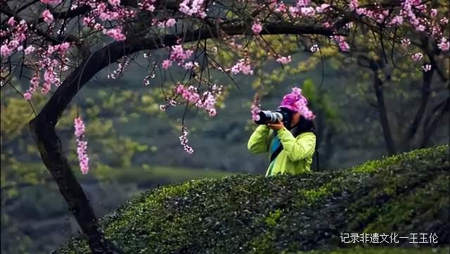 贵州这些地方将花开成海，美成童话世界，错过就要再等一年