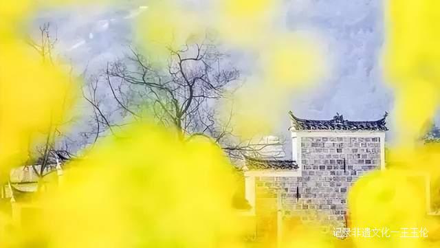 贵州这些地方将花开成海，美成童话世界，错过就要再等一年