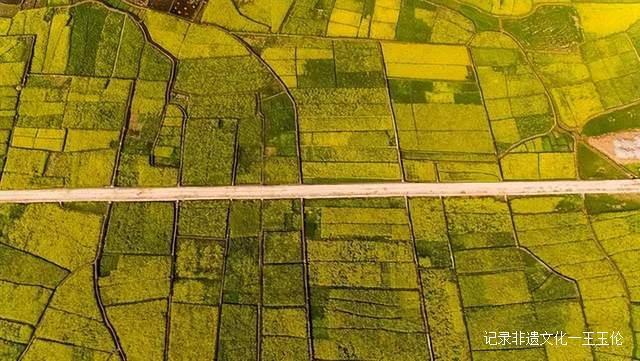 贵州这些地方将花开成海，美成童话世界，错过就要再等一年