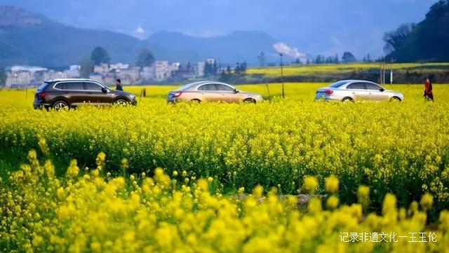 贵州这些地方将花开成海，美成童话世界，错过就要再等一年