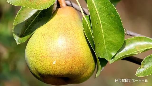 二十四节气|大雪节气如何养生？