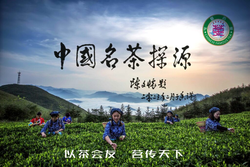 【中国之窗】陈文怀教授为《中国名茶》探源活动题字