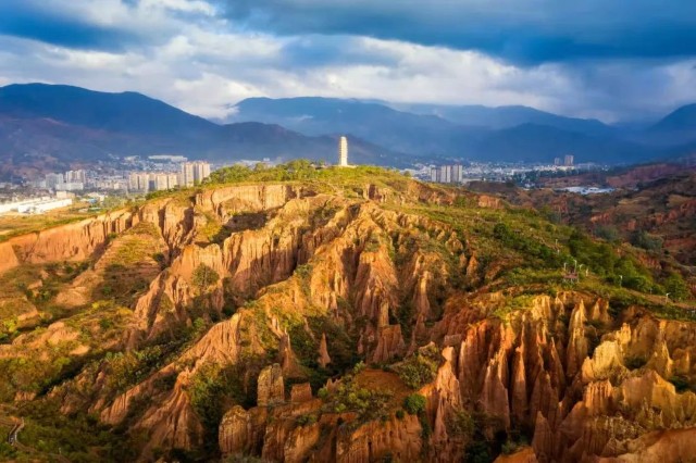 金飞豹受聘南涧文旅产业发展顾问