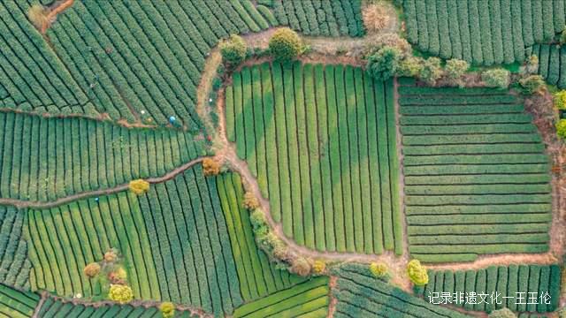 喜讯！湄潭蝉联“2022年度中国茶业百强县域”榜首