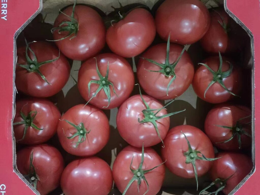 央媒头条上海讯：编辑：张清兵