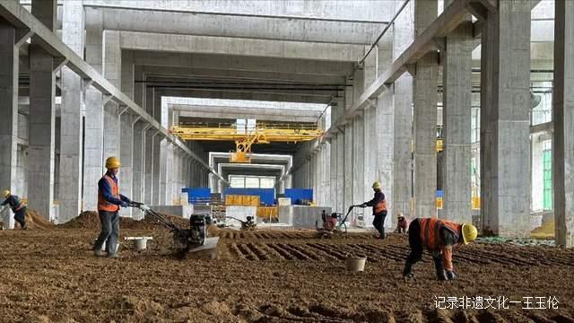 贵州省委常委、常务副省长吴强莅临董酒调研