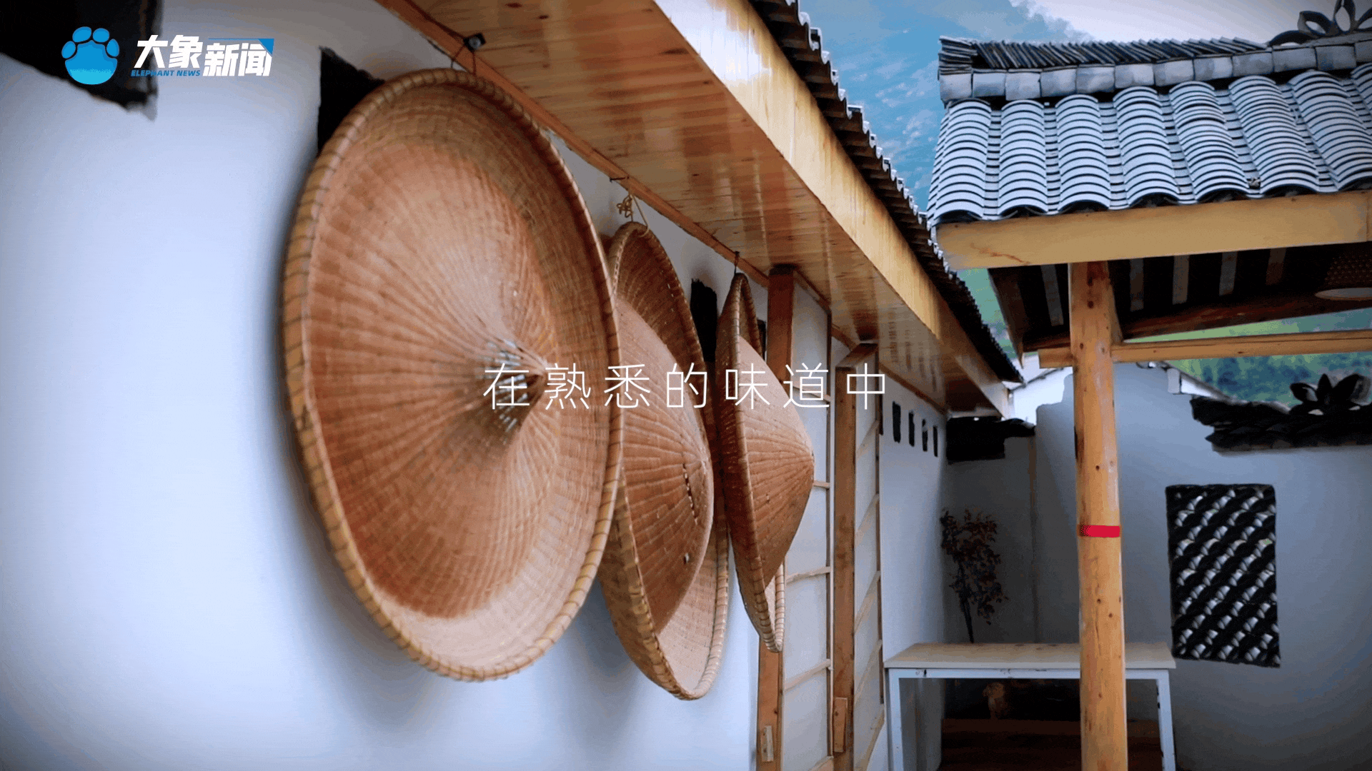 清明｜在春茶中感知故乡温度