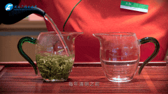 清明｜在春茶中感知故乡温度