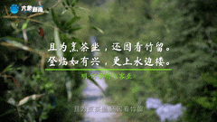 清明｜在春茶中感知故乡温度