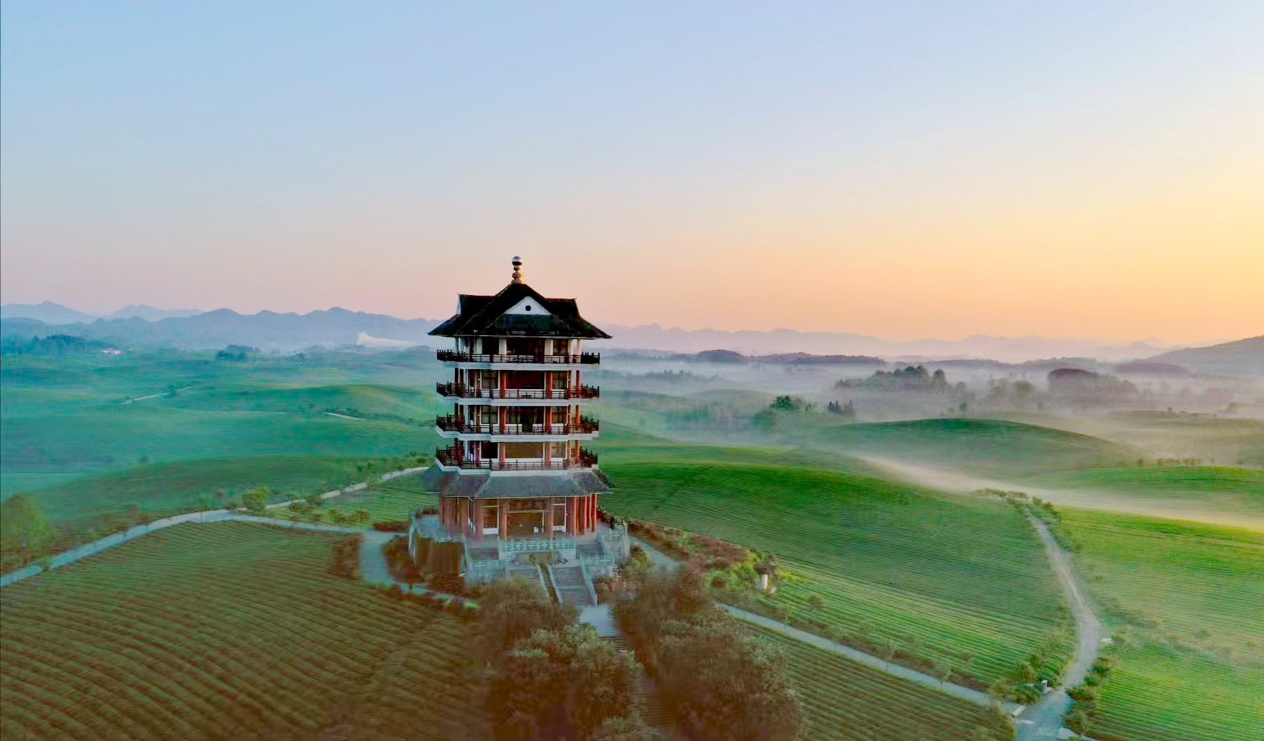 世界茶源在贵州 遵义助力黔茶香飘世界