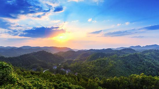 这个千亿市场持续升温，春糖抢“凤香老酒”入场券