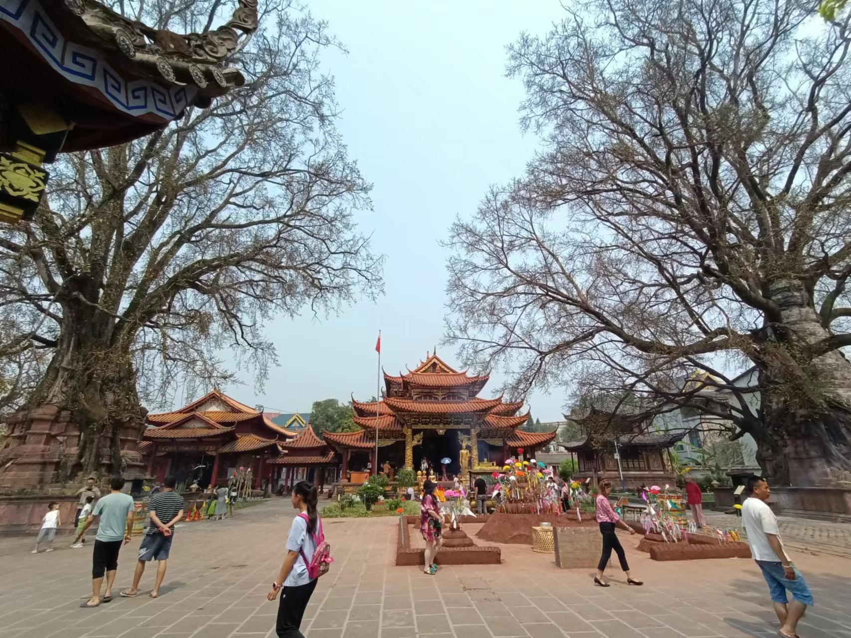 “千景之谷·花朝水悦”‖勐卧总佛寺：塔与树的千年缠绵