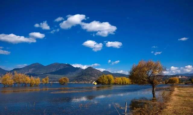 【艺术丽江】《原生态歌谣修辞研究》序（白庚胜）