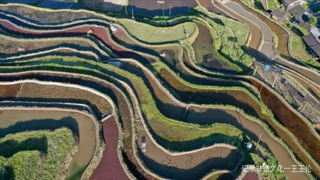贵州加榜梯田进入注水季，季季都能看到不同美景