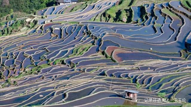 贵州加榜梯田进入注水季，季季都能看到不同美景