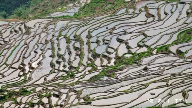 贵州加榜梯田进入注水季，季季都能看到不同美景