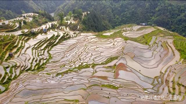 贵州加榜梯田进入注水季，季季都能看到不同美景