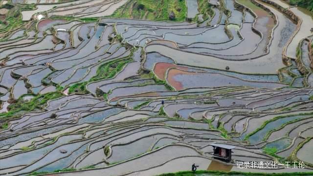 贵州加榜梯田进入注水季，季季都能看到不同美景