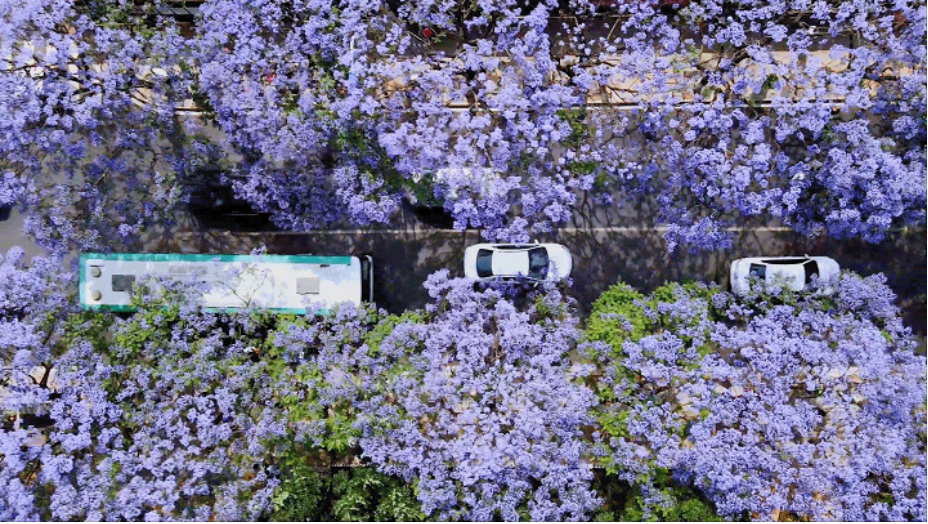 “有一种叫云南的生活”¶昆明五华：人间烟火气，最抚凡人心