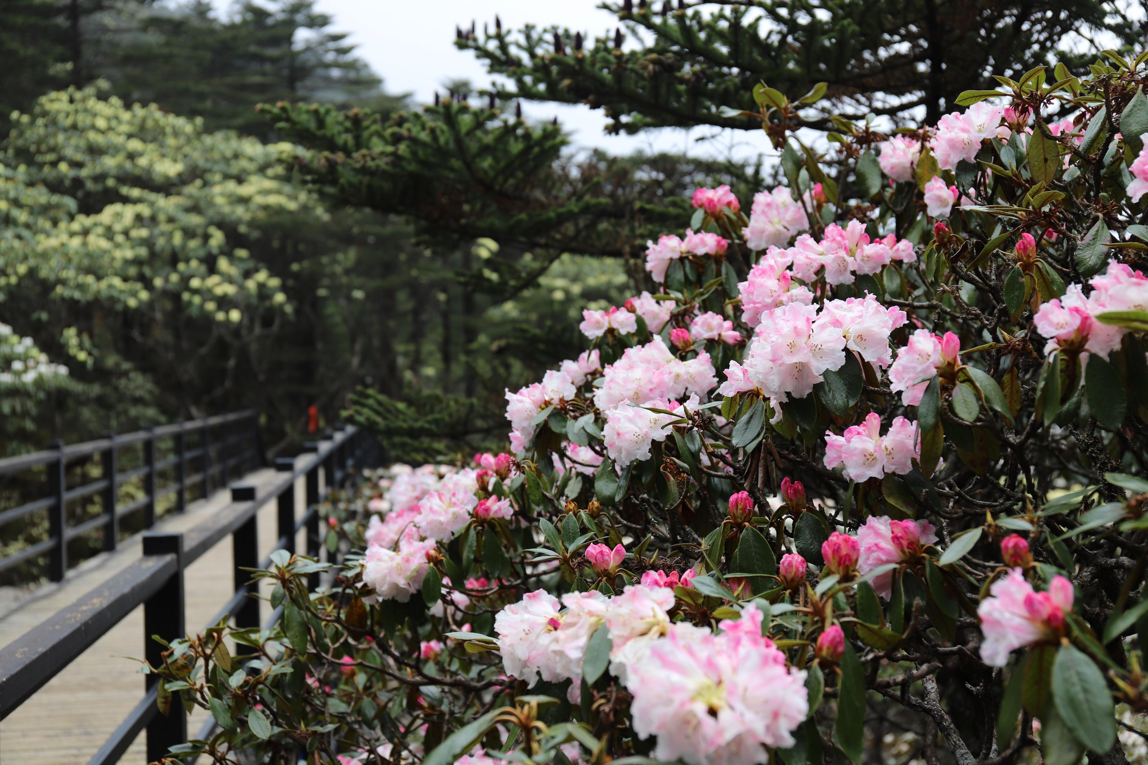 “有一种叫云南的生活”┃昆明禄劝：一个隐藏在大山深处的伊甸园