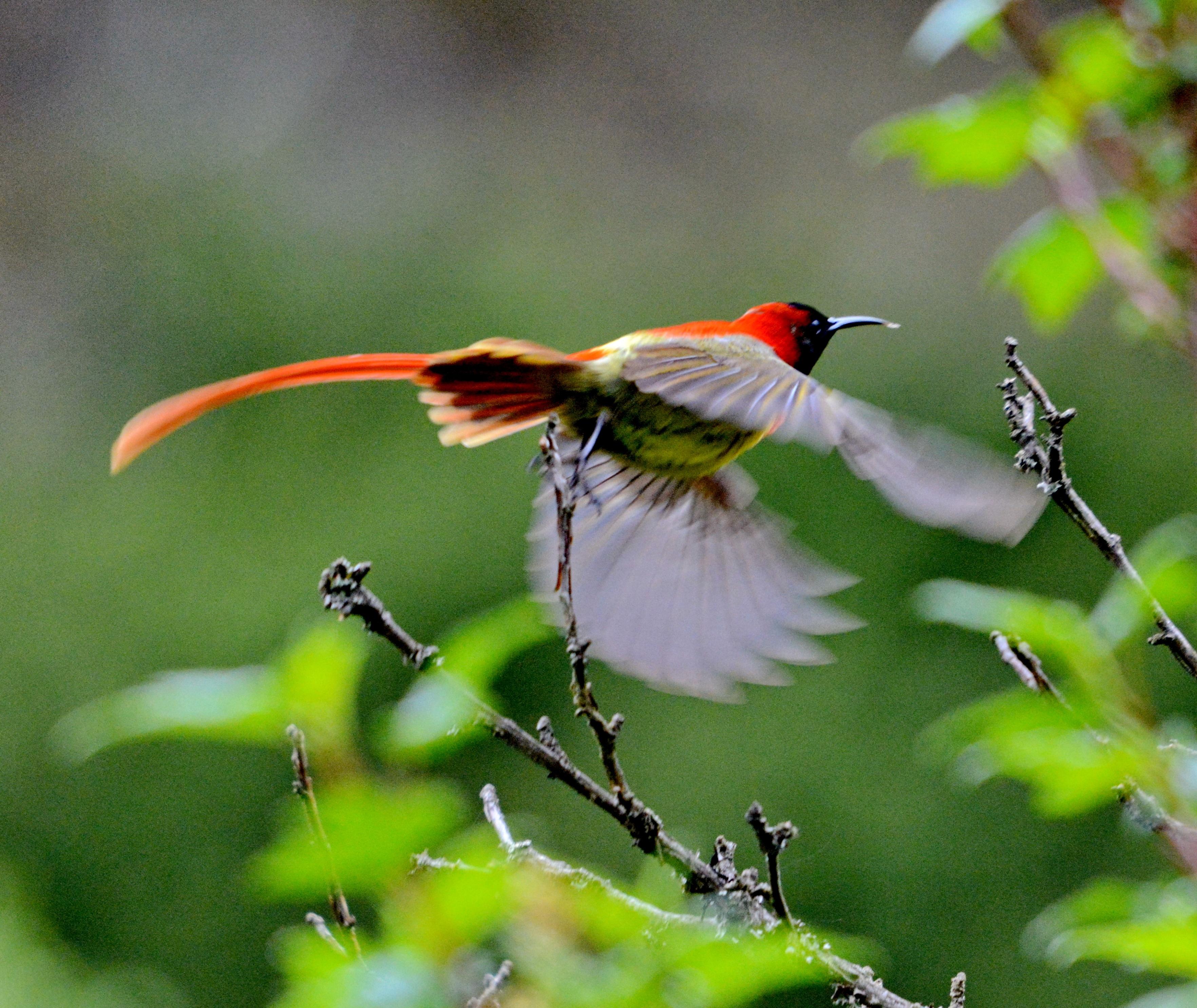 “有一种叫云南的生活”┃昆明禄劝：一个隐藏在大山深处的伊甸园