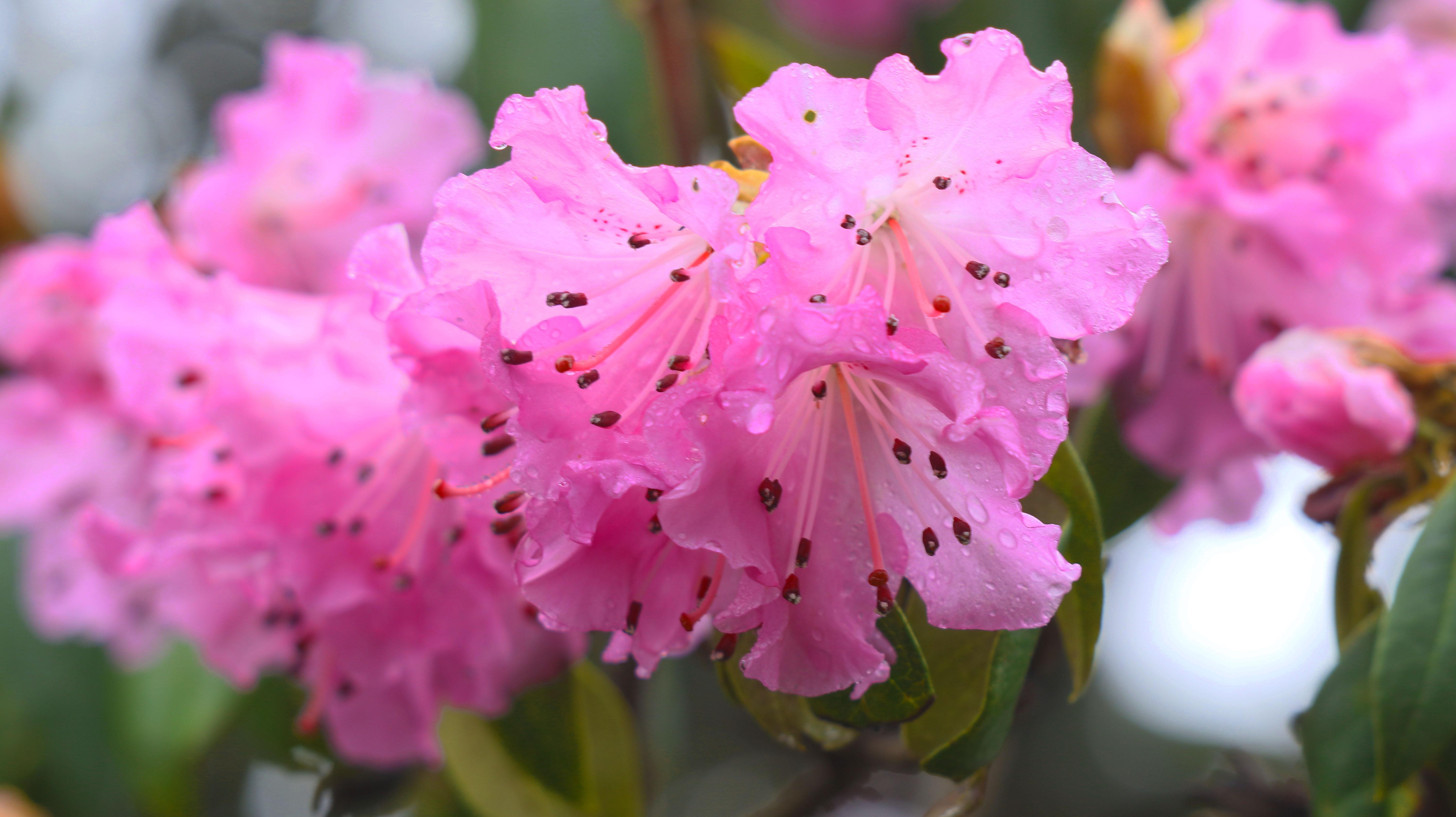 “有一种叫云南的生活”┃昆明禄劝：一个隐藏在大山深处的伊甸园
