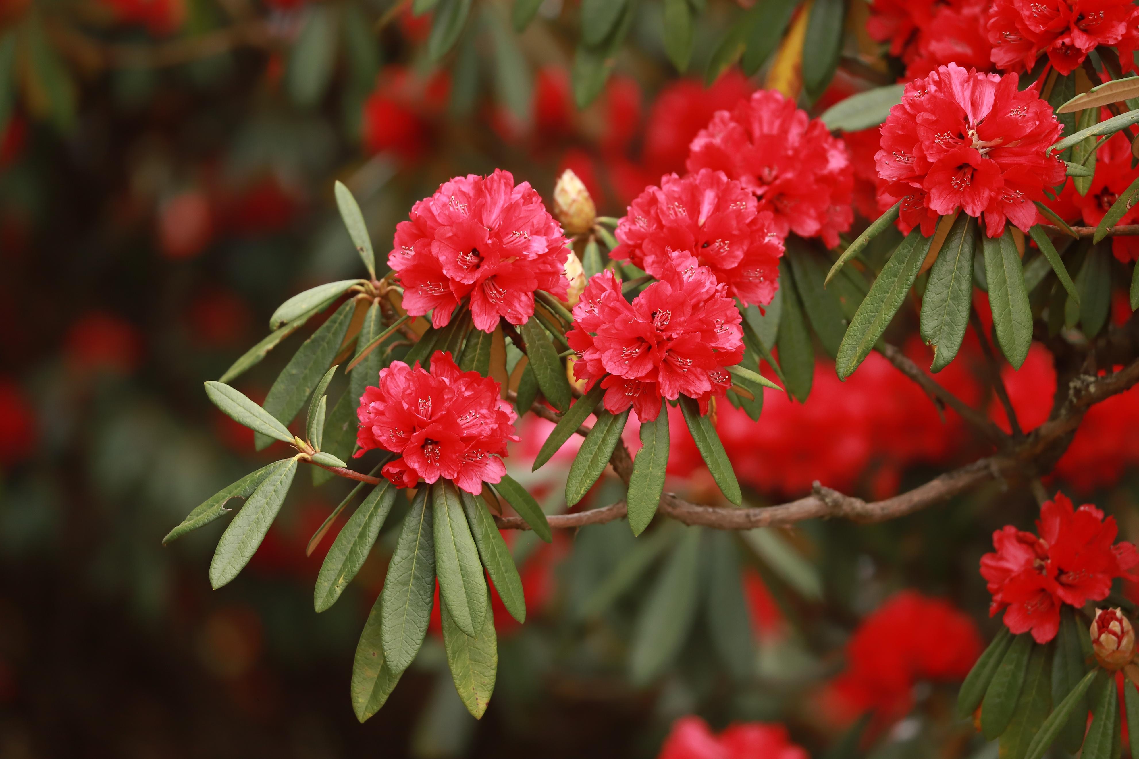 “有一种叫云南的生活”┃昆明禄劝：一个隐藏在大山深处的伊甸园