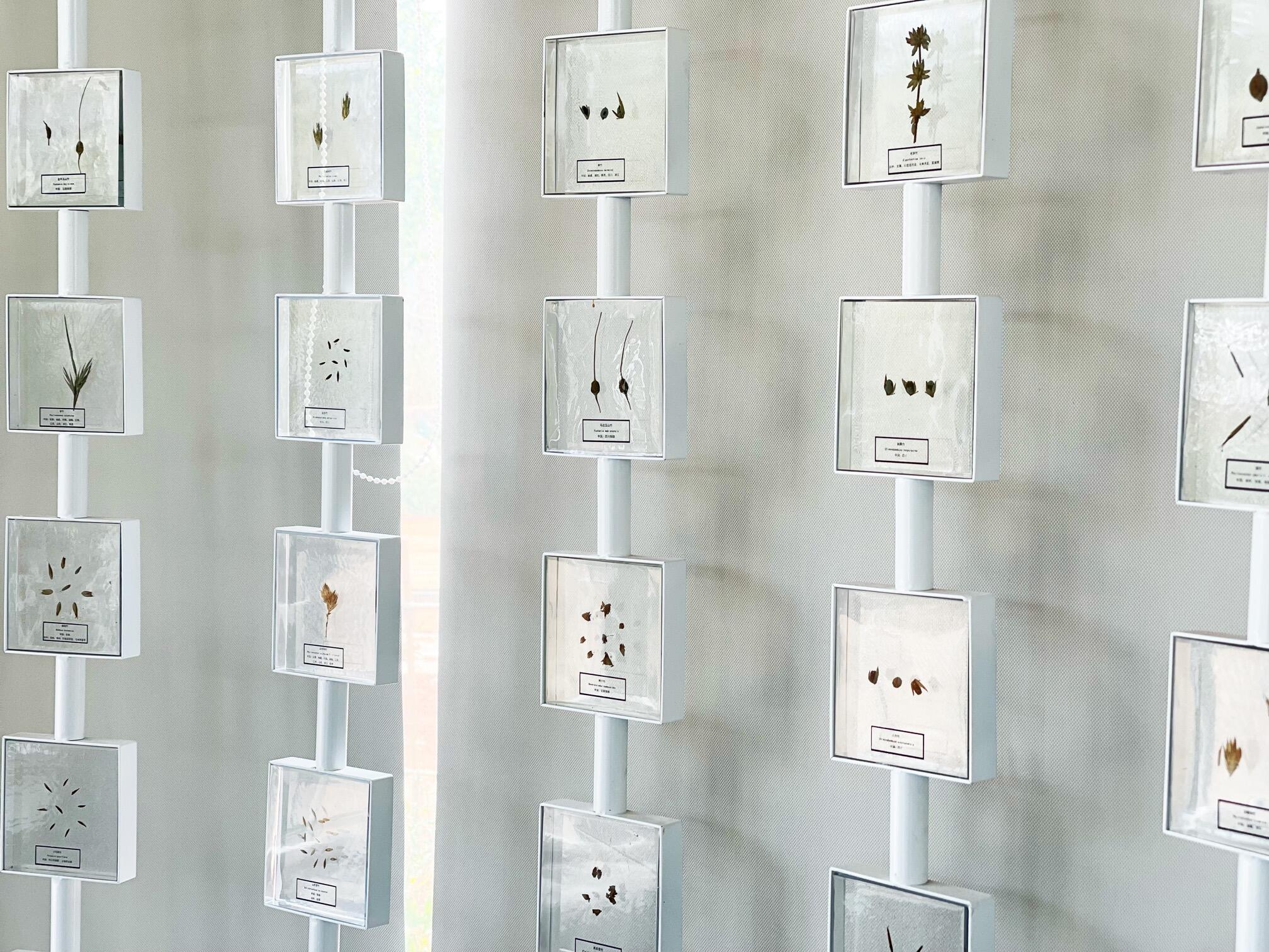 “有一种叫云南的生活”┃云南昆明；白鱼生楠竹，鲜花绽斗南