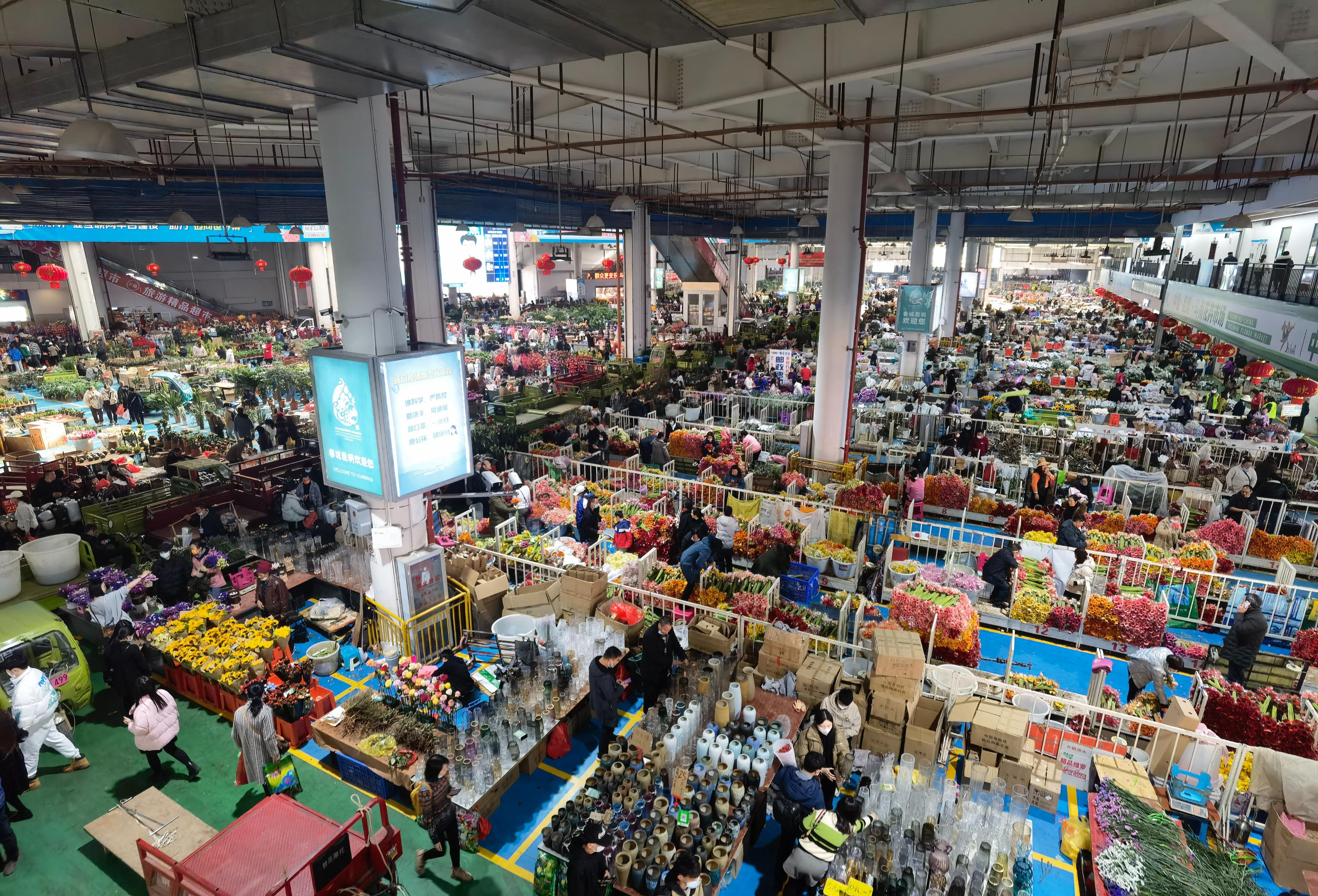 “有一种叫云南的生活”┃云南昆明；白鱼生楠竹，鲜花绽斗南