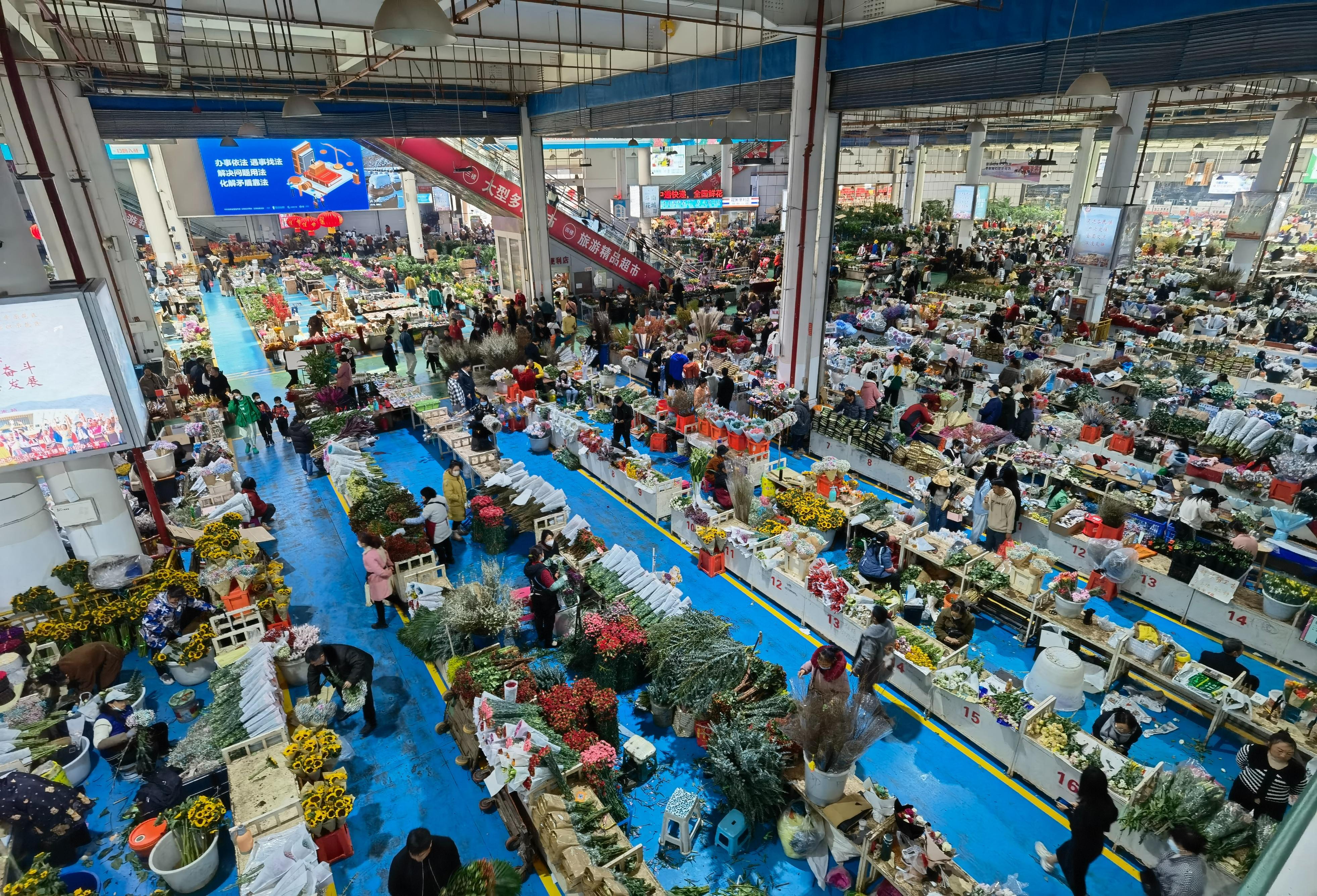 “有一种叫云南的生活”┃云南昆明；白鱼生楠竹，鲜花绽斗南